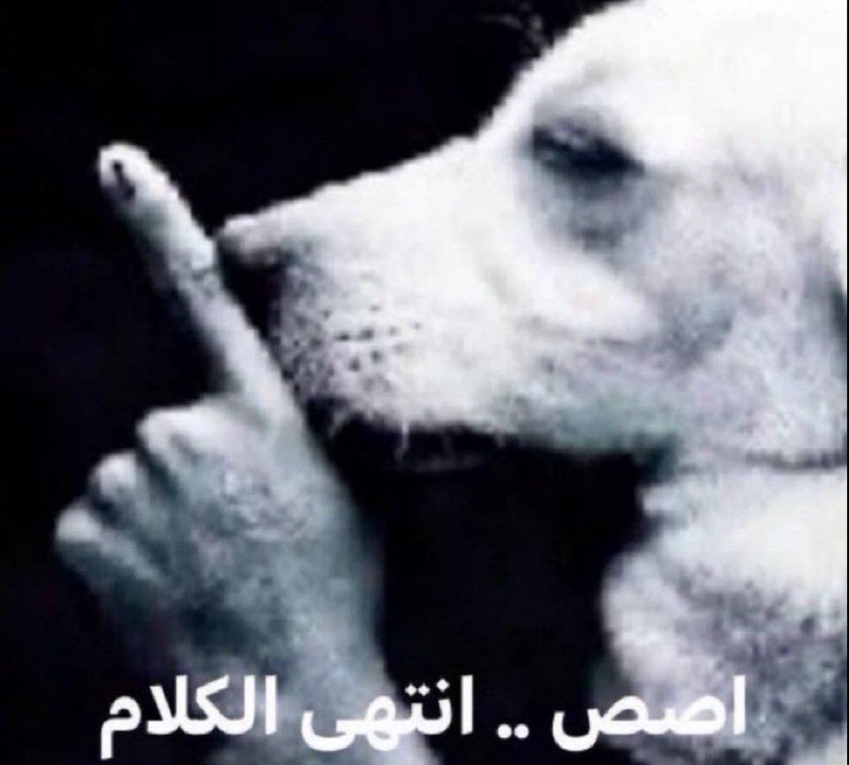 iih4u's tweet photo. الناس الحين يتخيرون ببرامج الAi ومبسوطين

قبل مع بوت التيلقرام اذا قفطك حاذف القنوات حقته https://t.co/Q70PTRMX5D