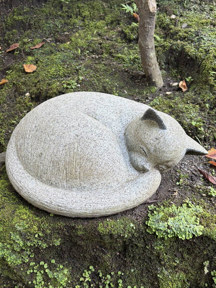 hiroe30's tweet photo. 今日は鹿児島県内を巡っています。
仙巌園内に猫神社がありましたので
毎週金曜日、猫屋敷に集まるリスナー、
関係者のみなさまの家内安全、無病息災を
祈って参りました😄

#ナッシーロール
#猫屋敷 https://t.co/ozGnideQB3