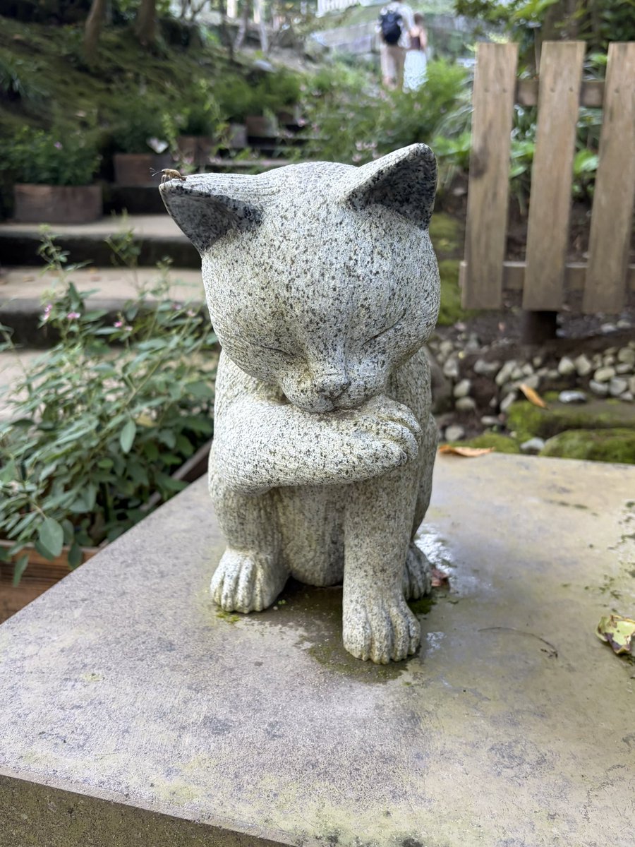 hiroe30's tweet photo. 今日は鹿児島県内を巡っています。
仙巌園内に猫神社がありましたので
毎週金曜日、猫屋敷に集まるリスナー、
関係者のみなさまの家内安全、無病息災を
祈って参りました😄

#ナッシーロール
#猫屋敷 https://t.co/ozGnideQB3