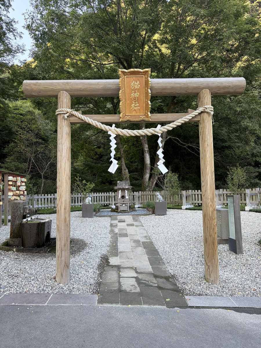 hiroe30's tweet photo. 今日は鹿児島県内を巡っています。
仙巌園内に猫神社がありましたので
毎週金曜日、猫屋敷に集まるリスナー、
関係者のみなさまの家内安全、無病息災を
祈って参りました😄

#ナッシーロール
#猫屋敷 https://t.co/ozGnideQB3