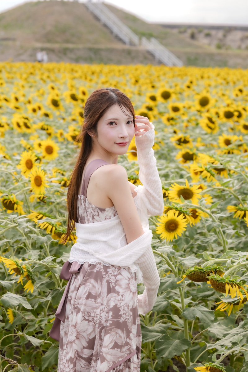 _lunachandayo's tweet photo. 柳川ひまわり園🌻 https://t.co/iPiOJxdvuk