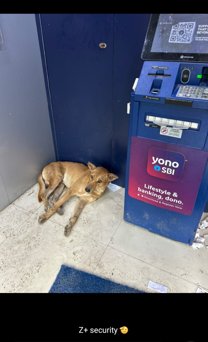 sauravsinha23's tweet photo. "Sir @TheOfficialSBI, aapke ATM ki Z+ Security Guard duty par soti hui paayi gayi hai! 😴🐕 Penalty me kam se kam 2 Parle-G biskut toh bante hain! 🦴💳 #SBI #ZPlusSecurity #ATMSafety #Doggo" https://t.co/Nm4AEEkc4e