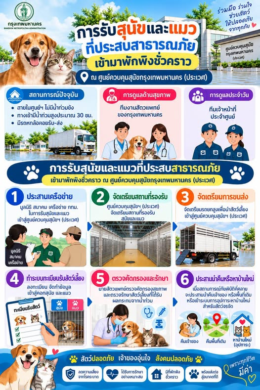 bangkokbma's tweet photo. 🐶🐱 พื้นที่เขตสาธารณภัย ฝากน้องหมาน้องแมวชั่วคราว กับ กทม. ได้นะ 💚

📌ดูข้อมูลเพิ่มเติม👉https://t.co/tujW7iVQuY

#กรุงเทพมหานคร #กทม #น้ำท่วม #ช่วยเหลือสัตว์ #สัตว์เลี้ยง #สัตว์จรจัด #สำนักอนามัย https://t.co/W2qSV00Vqg