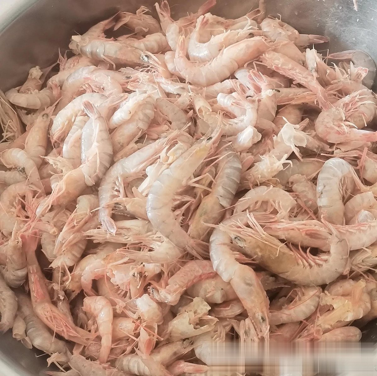 Oskar24011991's tweet photo. I heard a negative shout, saw someone got punched, got soaked through, and there was a tiny shrimp at the scene. https://t.co/ATvT0IMOLW