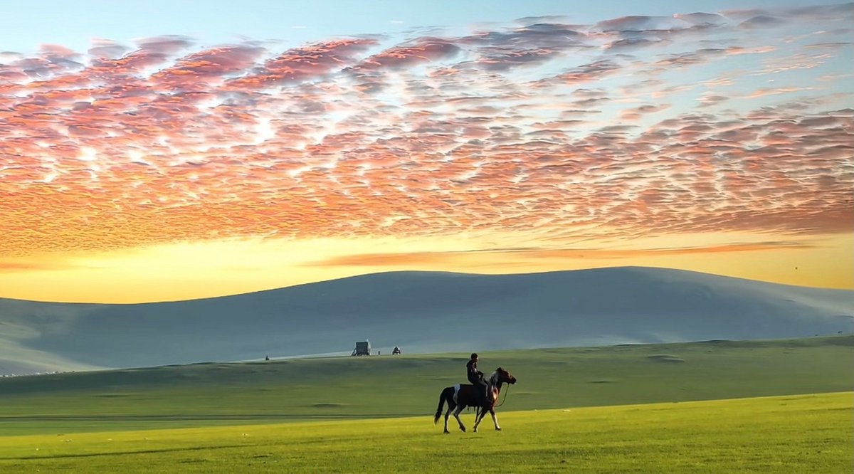vrixglme49's tweet photo. [The vast, thriving fields stretch out under the sun, with a fast horse galloping freely—every breath is full of vibrant vitality!]， https://t.co/qesNergr1O