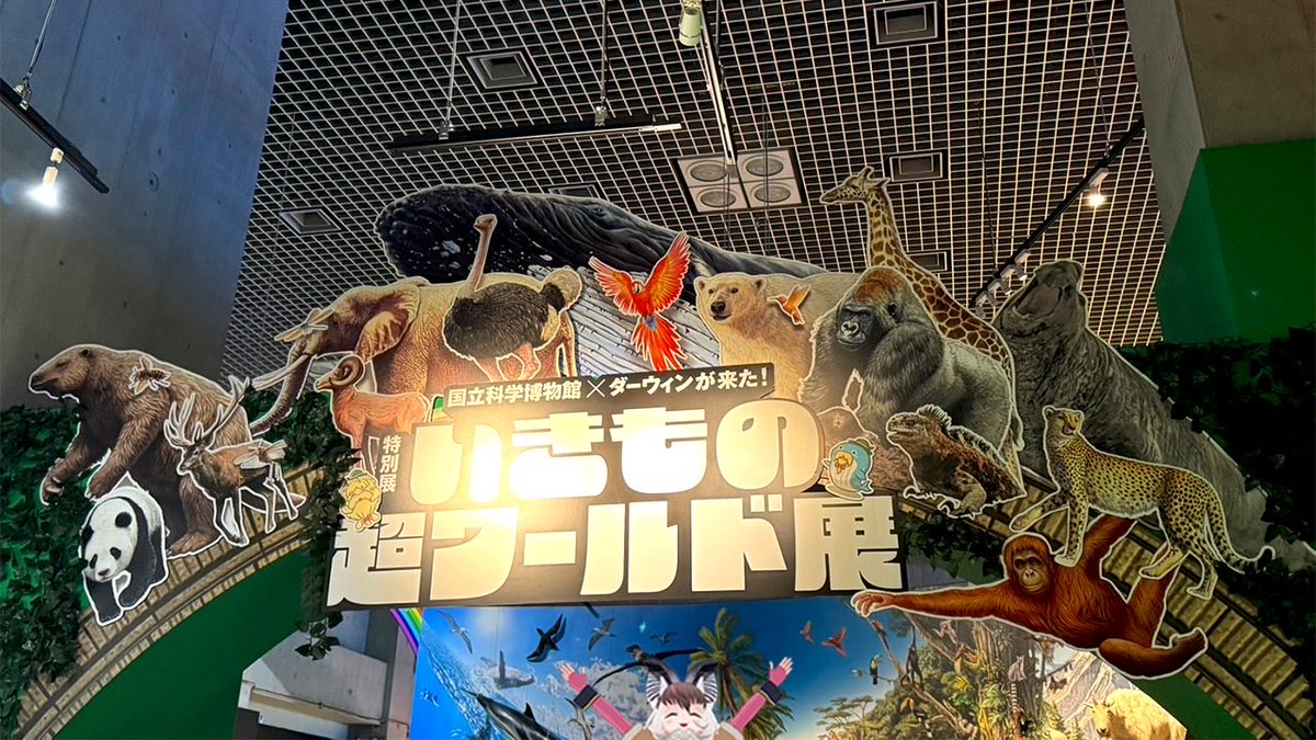 Usako_KEMOV's tweet photo. キキキッ😈💭

#国立科学博物館 × #ダーウィンが来た！ 

＼特別展 いきもの超ワールド展／ に

ウサギコウモリがキたー！🐰🦇🔍

世界のあちこちのいきものたち
いろんな秘密まるわかり！🐾🔬✨
いきもの展を徹底調査してキた😈🥼🔍

#いきもの展　#いきもの超ワールド展 https://t.co/ocxGTJ5fU6