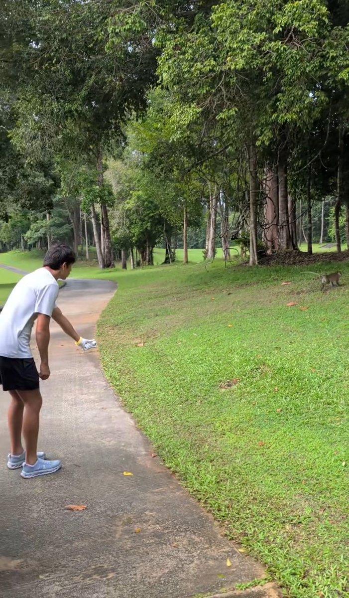 cantverstopim's tweet photo. Alex Albon trying to lure a Malaysian monkey home to join his collection, is anyone surprised? https://t.co/GhxQ5XyLoZ