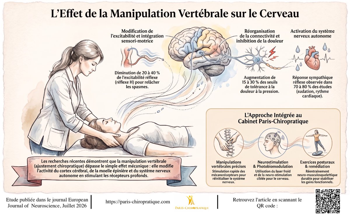 Paris_Chiro16's tweet photo. La manipulation vertébrale agirait bien sur le fonctionnement du cerveau : nouvelle étude parue dans European Journal of Neuroscience

https://t.co/wvCiAobD0s https://t.co/dSF2fidZsg