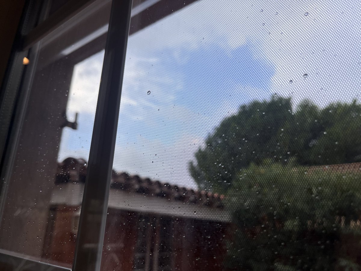 Nozomimoz's tweet photo. 今雨ほとんど降ってないしなんなら青空ちらっと見える https://t.co/866m0oWXXp