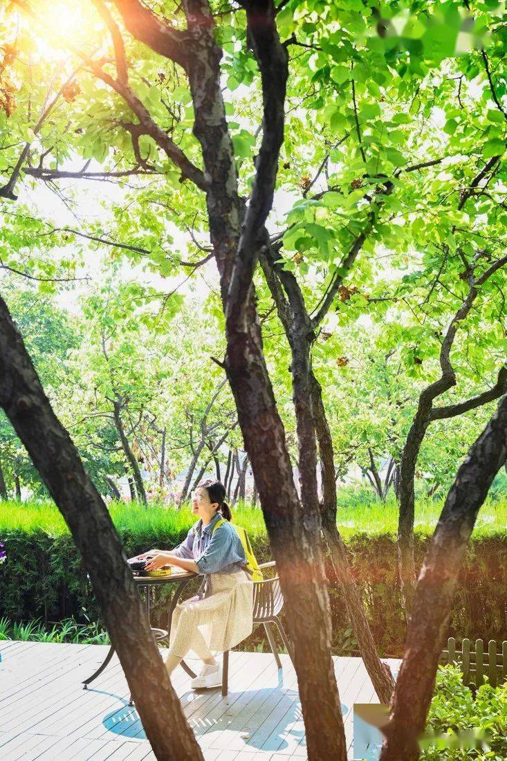 c1a90_879's tweet photo. [Morning jogging: by the city's green suburbs, I lean against the roadside tree, with wind brushing the treetops softly.]， https://t.co/WHYm6sKz5X