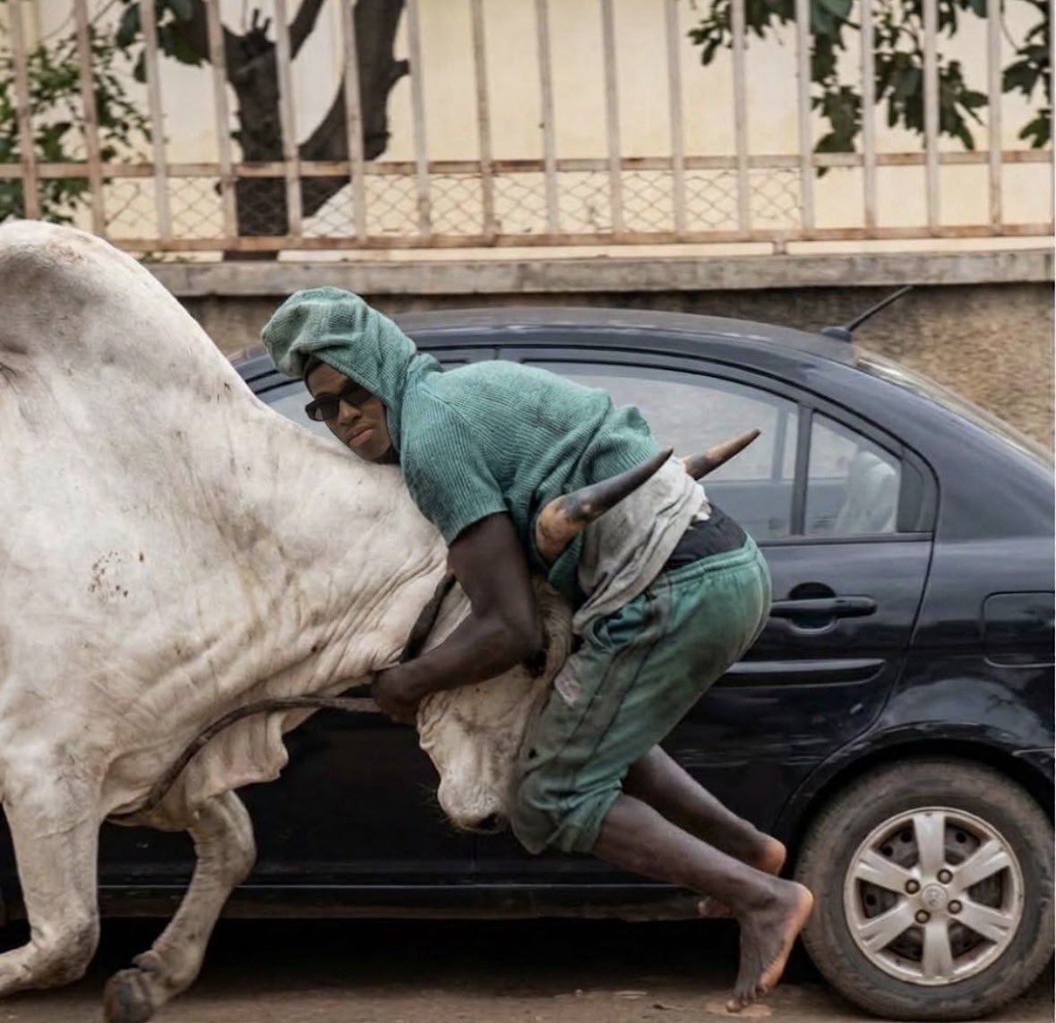 Giftylee_'s tweet photo. I’ve finally decided to follow the advice of my mutuals. 
So after grabbing the bull by the horn what’s next? https://t.co/YMKoBVzgUT