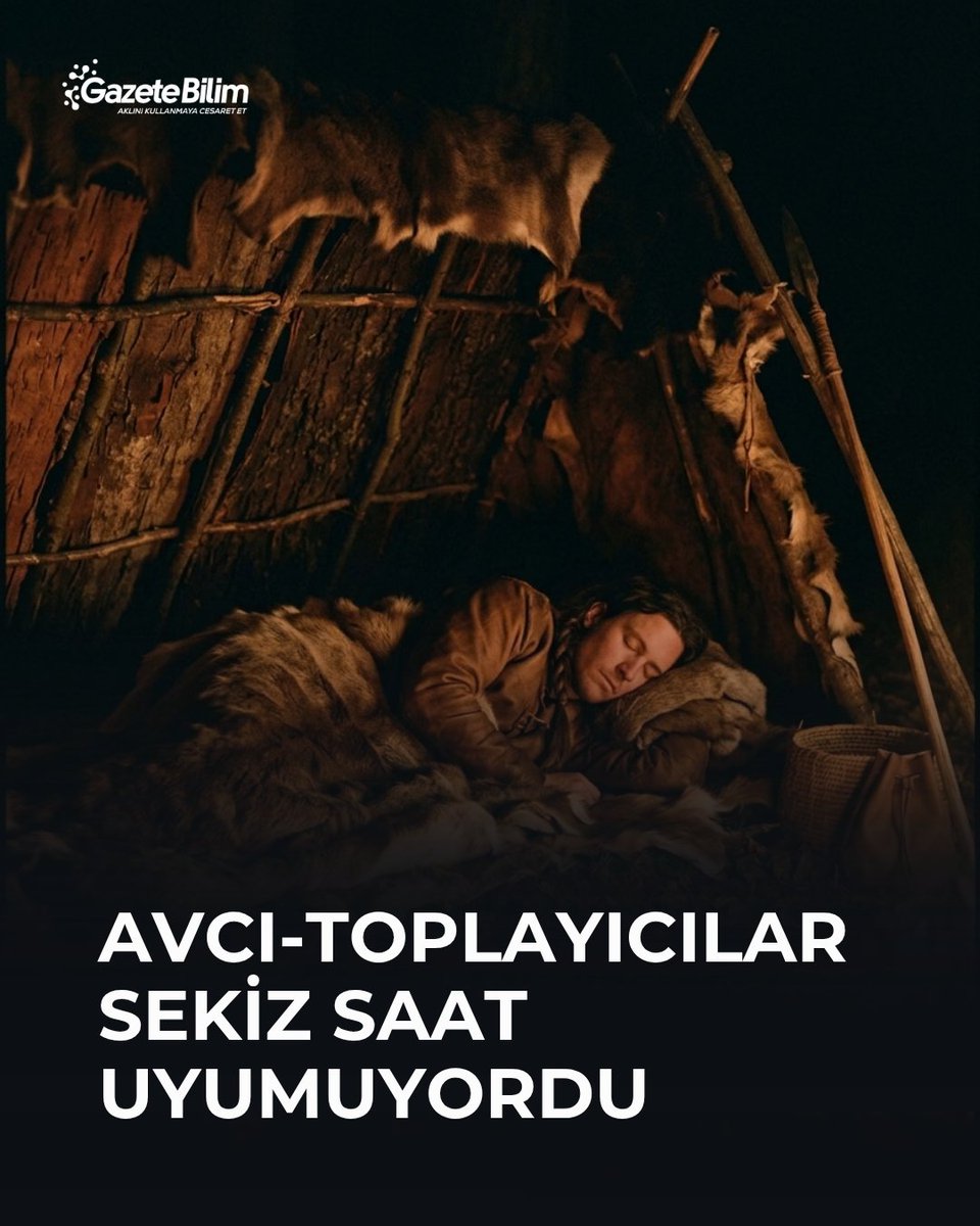 GazeteBilim's tweet photo. 📍İyi uyku denince akla sekiz saat kesintisiz uyumak geliyor. 

🗨Ancak günümüzde geleneksel yaşam biçimlerini sürdüren topluluklar üzerinde yapılan araştırmalar farklı bir tablo ortaya koyuyor: İnsanlar sekiz saatten daha kısa uyuyabiliyor; uyku düzenini ise yalnızca karanlık değil sıcaklık ve sosyal yaşam da şekillendiriyor.

Elektrik ve yapay ışık yaygınlaşmadan önce insanların güneş batınca uyuduğu, sekiz-dokuz saat kesintisiz uyuyup gün doğumuyla uyandığı düşüncesi oldukça yaygın. Bilimsel araştırmalar ise bu romantik “doğal uyku” tablosunu desteklemiyor.

Kaliforniya Üniversitesi Los Angeles’tan (UCLA) Jerome Siegel ve çalışma arkadaşlarının 2015 yılında Current Biology dergisinde yayımlanan araştırması, Tanzanya’daki Hadza, Namibya’daki San ve Bolivya’daki Tsimané topluluklarının uyku düzenlerini karşılaştırdı.

Araştırmacılar bu üç toplulukta gerçek uyku süresinin gecede ortalama 5,7 ila 7,1 saat arasında değiştiğini belirledi. Katılımcılar güneş batınca hemen yatmıyor, genellikle yaklaşık üç saat daha uyanık kalıyordu.

Uykuyu yalnızca güneş yönetmiyor
2015 tarihli araştırmanın dikkat çekici bulgularından biri sıcaklıkla ilgiliydi.

Her üç toplulukta da uykuya geçiş, gece çevre sıcaklığının düşmeye başladığı dönemle yakından ilişkiliydi. İnsanlar çoğunlukla sıcaklığın günlük en düşük seviyesine yaklaştığı saatlerde uyanıyordu.

Araştırmacılar bu nedenle insanın uyku düzenini belirleyen çevresel işaretler arasında ışığın yanı sıra sıcaklığın da önemli bir rol oynayabileceğini belirtiyor.

Sekiz saat değişmez bir kural değil
Duke Üniversitesi ve Nevada Üniversitesi’nden araştırmacıların Hadza topluluğunu 393 gün boyunca izlediği ve 2017’de American Journal of Physical Anthropology dergisinde yayımladığı başka bir çalışma da benzer bir tablo ortaya koydu.

Araştırmada Hadza yetişkinlerinin ortalama uyku süresi yaklaşık 6,25 saat olarak ölçüldü. Gece boyunca uyanmalar da olağandışı değildi.

Bu sonuçlar “altı saat uyku herkese yeter” anlamına gelmiyor. Kronik uyku eksikliğinin sağlık üzerindeki olumsuz etkileri çok sayıda araştırmayla gösterilmiş durumda ve insanların uyku ihtiyacı yaşa ve bireysel özelliklere göre değişebiliyor.

Bulguların sorguladığı şey daha farklı: İyi uykunun herkes için mutlaka sekiz saat kesintisiz uyku anlamına geldiği düşüncesi.

Gece boyunca herkes aynı anda uyumuyordu
2017’de Proceedings of the Royal Society B dergisinde yayımlanan ve Hadza topluluğunun uyku düzenini inceleyen bir başka araştırmada ise dikkat çekici bir sosyal örüntü bulundu.

Topluluktaki insanların farklı saatlerde uyuyup uyanması nedeniyle gözlem süresinin büyük bölümünde gruptan en az bir kişinin uyanık olduğu görüldü.

Araştırmacılar, yaş ve uyku ritimlerindeki bu çeşitliliğin insanın evrimsel geçmişinde grubun gece boyunca tehlikelere karşı korunmasına katkıda bulunmuş olabileceği hipotezini ortaya attı.

Avcı-toplayıcılardan öğrenebileceğimiz şey
Bu araştırmalardan “avcı-toplayıcılar gibi uyumalıyız” ya da “sekiz saat uyumak gereksiz” sonucu çıkarılamaz. Günümüzde incelenen bu topluluklar da tarihöncesi insanların birebir karşılığı değil.

Ancak araştırmalar uykuyu yalnızca kaç saat uyuduğumuzla değerlendirmememiz gerektiğini gösteriyor. Doğal ışık, çevre sıcaklığındaki değişimler, biyolojik ritimler ve sosyal yaşam da uyku düzeninin parçaları.

İnsan uykusu yalnızca bir kronometre meselesi değil; ışık, sıcaklık, biyolojik ritim ve sosyal çevrenin birlikte şekillendirdiği bir sistem.

🔗https://t.co/ZDLsYJf6zs