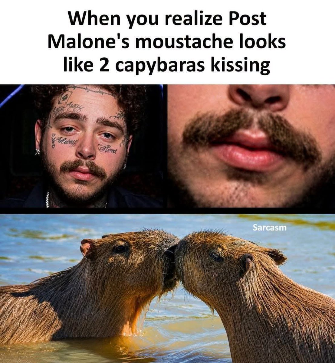 WholesomeMeme's tweet photo. https://t.co/InQb6QelZh