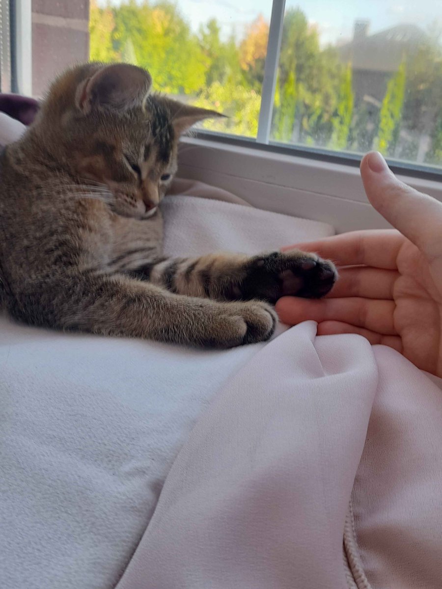 Vargenston's tweet photo. Если вы это видите, опубликуйте случайную фотку из галереи без объяснений https://t.co/JVMi9nW2FK