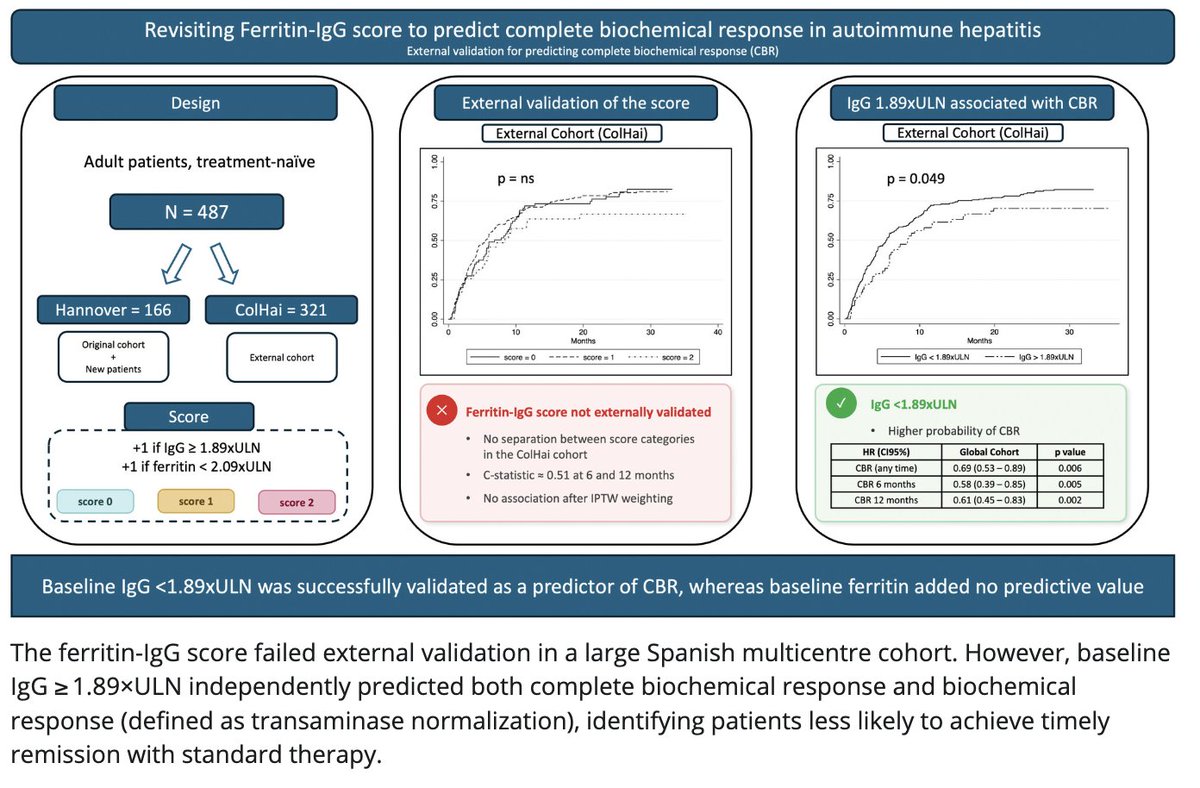 APandT's tweet photo. "Revisiting Ferritin-IgG Score to Predict Complete Biochemical Response in Autoimmune Hepatitis" is available to read open access via https://t.co/S9WLgAYJiJ
#livertwitter #AIH https://t.co/OSuML7tlrC