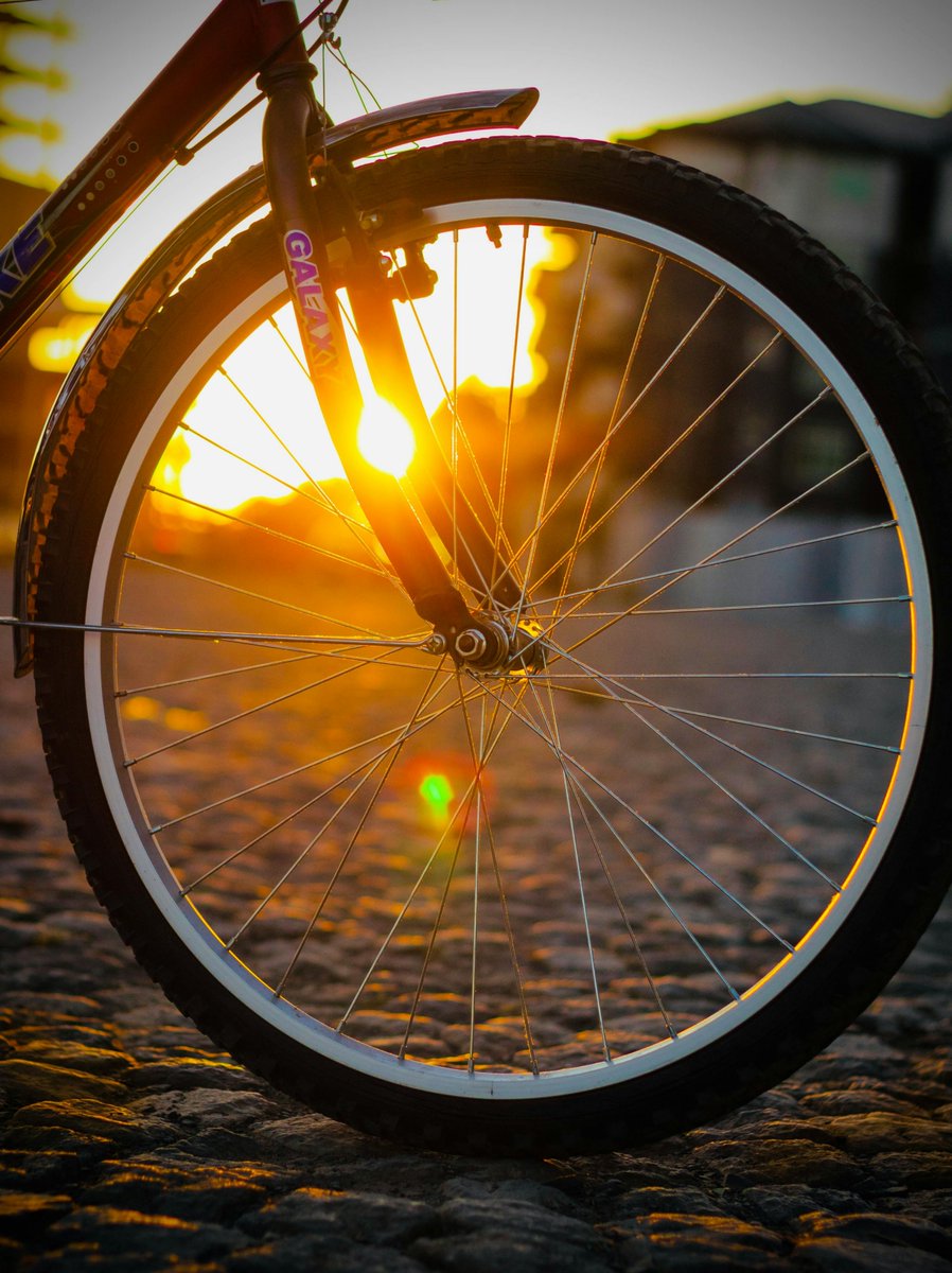 blux_ix56852's tweet photo. [Only when the wheel turns does it roll forward. Keep spinning forward!]， https://t.co/gQO38dpnIC