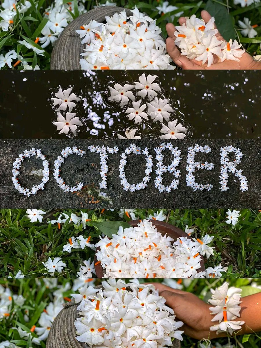 Suhana_man_'s tweet photo. NO BAD DAYS IN OCTOBER… 🌱🌸 https://t.co/TxtevtkS6P