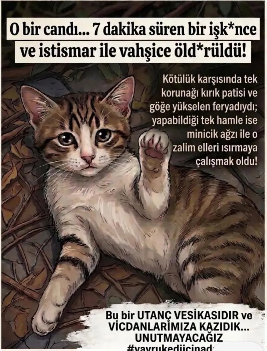 AyeglAk90393304's tweet photo. Sessizliğe alışırsak kaybedeceğimiz çok şey olur,‼️ALIŞMAYIN‼️Susmayada ‼️ ALIŞMAYIN ‼️ Herhangi 1 türdeki şiddete ‼️ ALIŞMAYIN ‼️
MİNİĞİ UNUTMA 
#YavruKediçinAdalet https://t.co/jtoXiWJBCM