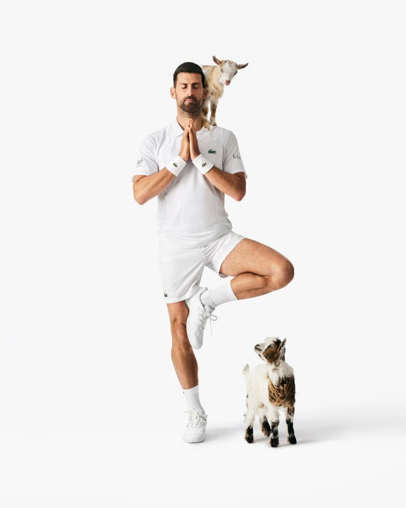 DAMAN_Magazine's tweet photo. Unvarnished discipline, unyielding legacy. Step inside the Lacoste GOAT Collection featuring Novak Djokovic

Read more 
https://t.co/u5J72scwfU https://t.co/2SX8e6lUbD