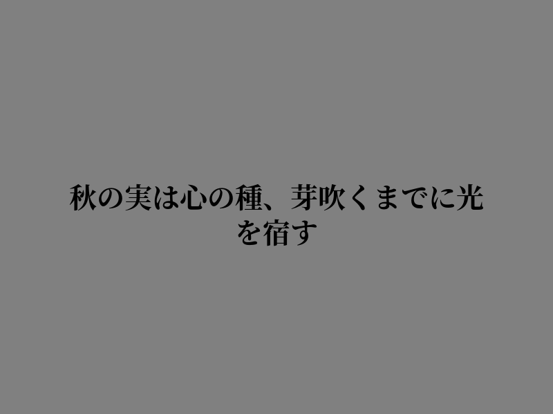 Micky_Bazelmans tweet picture