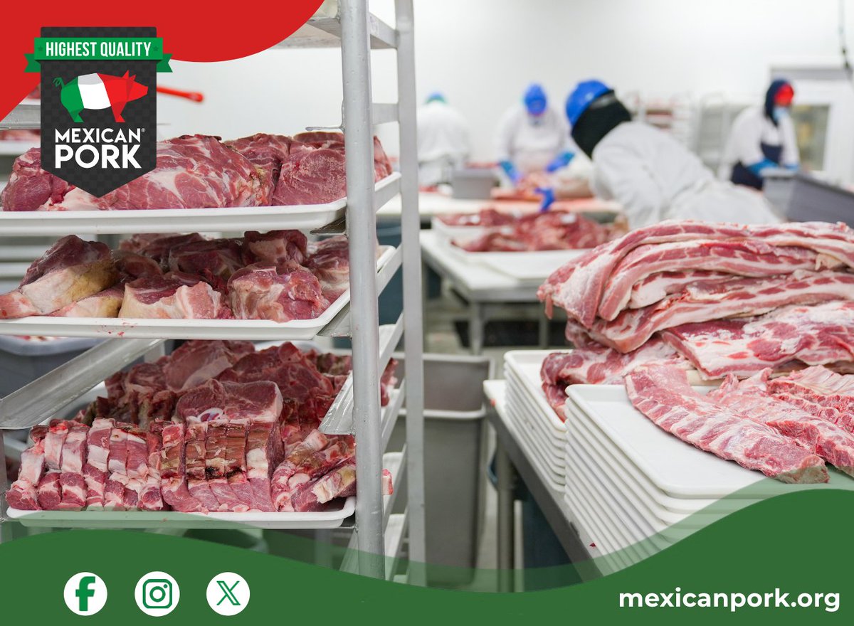 mexican_pork's tweet photo. 🥩✨ Mexican Pork, excellence at every stage. 🇲🇽
From production and processing to distribution, rigorous standards in quality and food safety contribute to the consistency and excellence of Mexican Pork. 🐷
#MexicanPork #PorkExcellence #FoodSafety #PremiumQuality #GlobalQuality https://t.co/dSpV3eB0jX