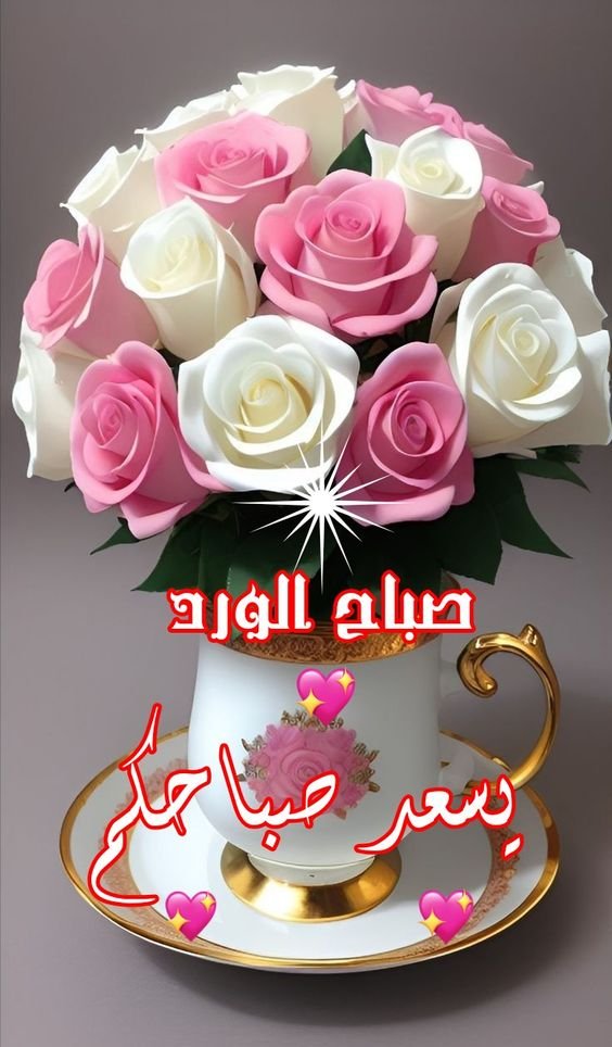 mdldhsn5's tweet photo. صباح الفل والياسمين🌹 https://t.co/vv23Xrhomv