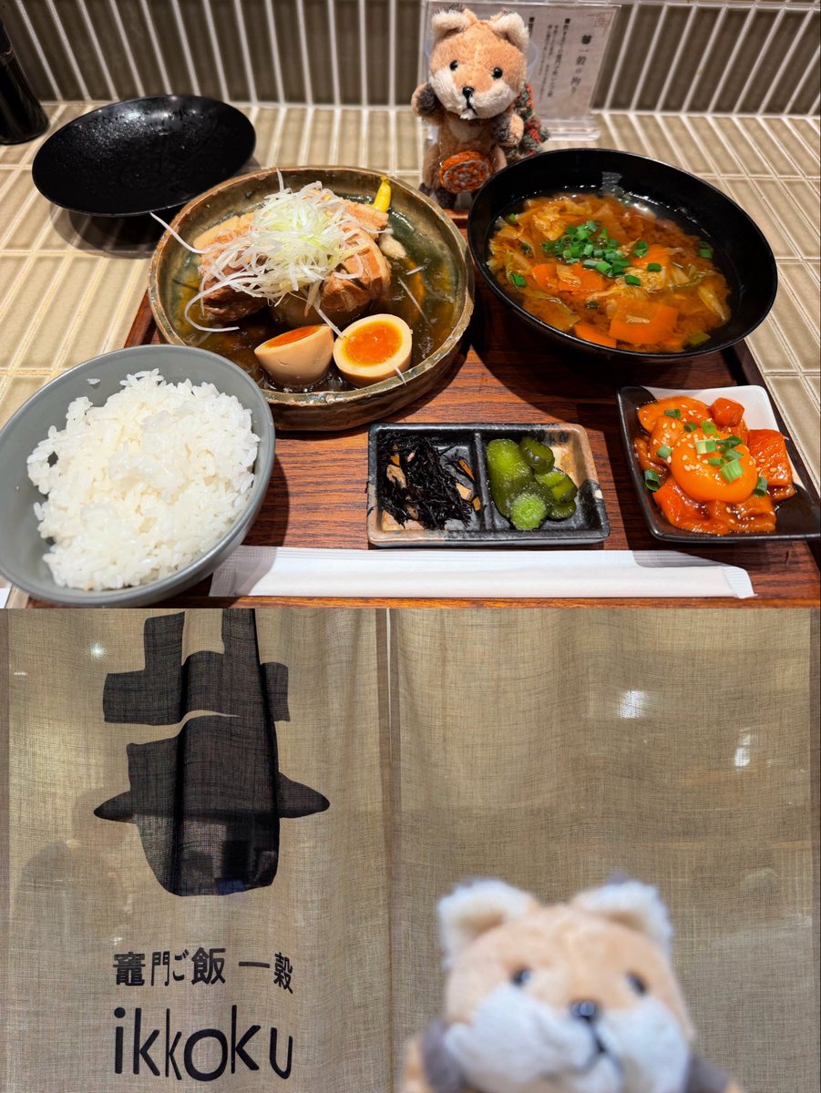 TangerineVolpi's tweet photo. だいぶ前から気になっていた、池袋の『竈門ご飯一穀』に行って来ました！
「豚の角煮定食」に「濃厚サーモンユッケ」の小鉢を追加で。なんと、羽釜で炊いた拘りのご飯はお代わり自由！
ご飯もおかずも美味しくて、思わずご飯をお代わりしてしまいました〜(≧ω≦)

↓ https://t.co/XHviXK70dC
