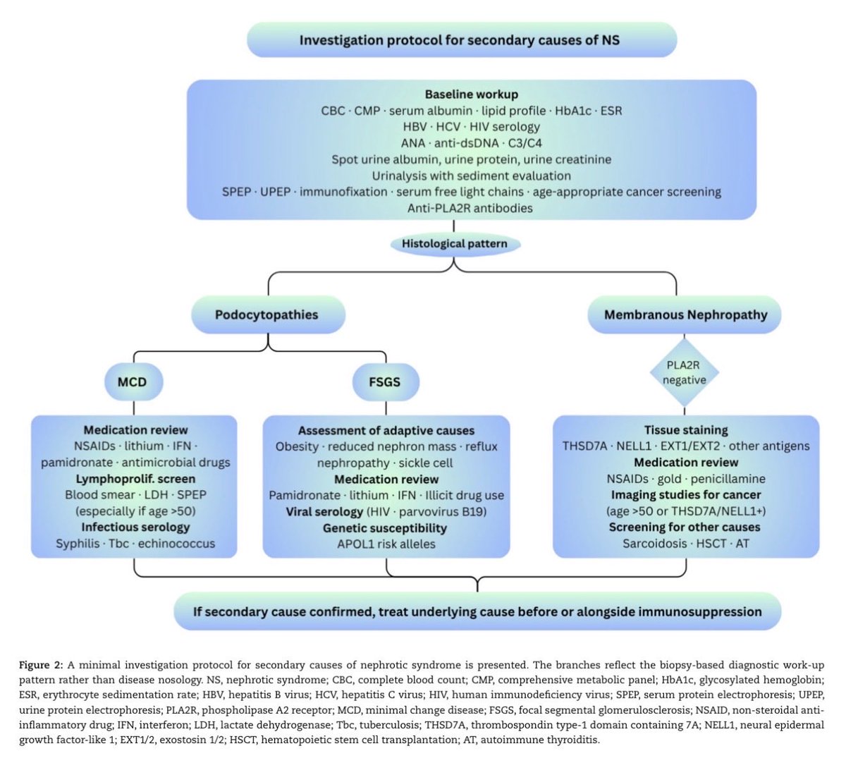 edgarvlermamd's tweet photo. Ten tips for the diagnosis and management of nephrotic syndrome ca. 2026 from @CKJsocial 
#Nephpearls

👉🏼 https://t.co/8hJYAltBTh https://t.co/aXD2jQgUTn