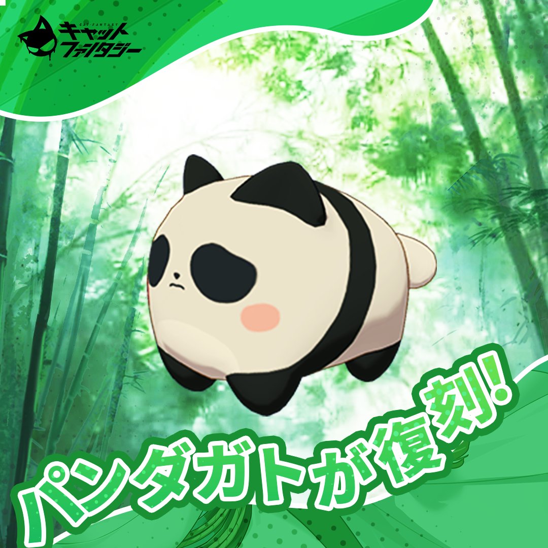 CatFantasyJP's tweet photo. 🐼パンダガトが期間限定復刻！

期間限定クエストをクリアして、ガトを無料でゲットしよう！

イベント期間中任務を達成すれば、強力パッシブスキルの持つSSRガト「パンダ」をゲット！
　
▼活动时间
9月17日~10月22日

調査官、まんまるなパンダのガトが待っています！この強くて可愛い子を戦闘に連れてってね～

#キャトファン #好評配信中 #潮汐の狭間を歩みて