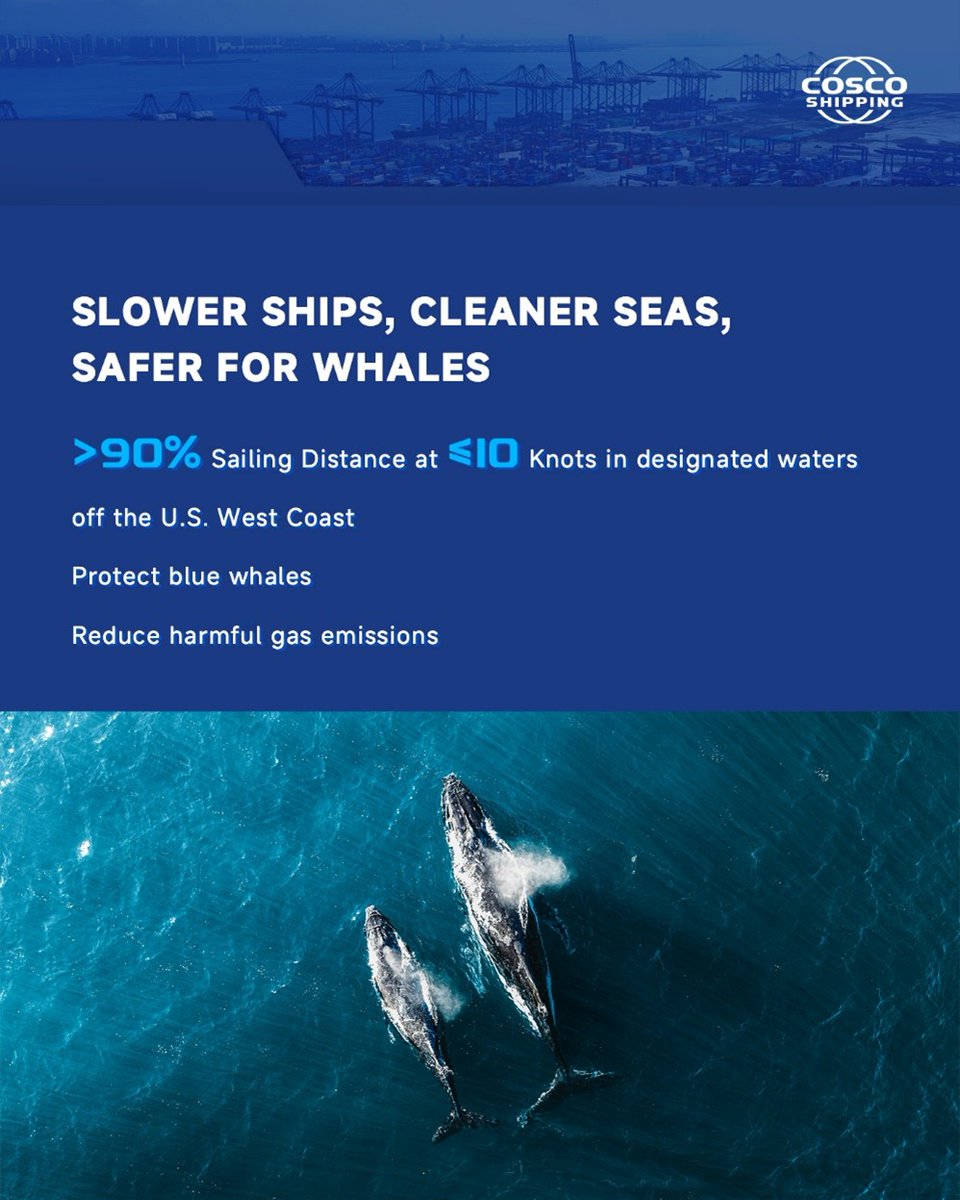 COSCOSHIPPING's tweet photo. Knock knock! 🐼🚪 Captain Panda is back with another highlight from our 2025 Sustainability Report.
🐳Protecting marine biodiversity while keeping global trade moving.
In designated waters along the US West Coast, 90% of our voyage distance was sailed at speeds of ≤10 knots, helping reduce the risk of vessel strikes on blue whales while also lowering emissions.
Slower speeds. Safer whales. Cleaner seas. 🌊💙

#COSCOSHIPPING #SailingTogether #MarineBiodiversity #SustainableShipping