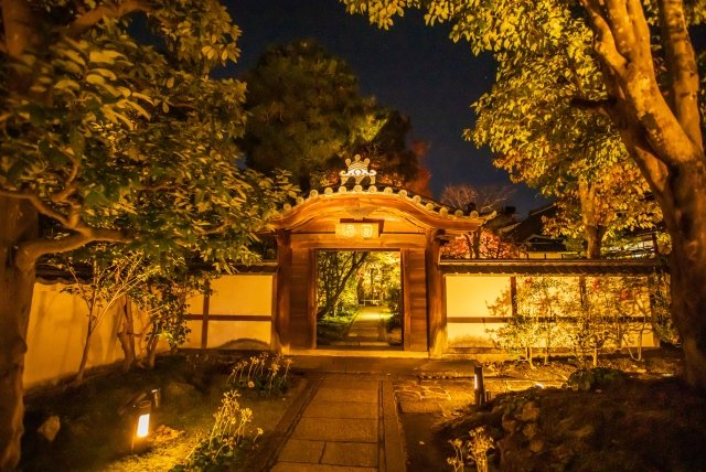 Explo_Kyoto2026's tweet photo. It’s getting cooler, and I’m finally feeling relieved. 😄 The light‑up event at Entoku‑in starts on October 23, and I can’t wait for those long autumn nights.
#Kyoto #AutumnLeaves #Autumn #Night #KyotoTravel #VisitKyoto #KyotoSightseeing #LightUp https://t.co/hSZbpI0efF