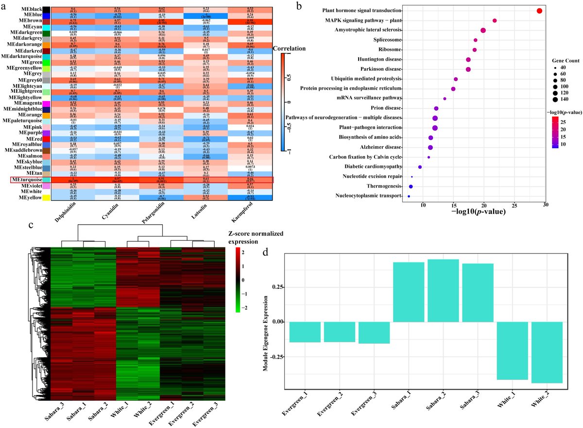 MaximumAcademic's tweet photo. #FruitRes
Integrated metabolomics and transcriptomics reveal cyanidin-driven anthocyanin accumulation in jaboticaba peel of three cultivars.
@HortiPlant #Jaboticaba #Anthocyanins #Transcriptomics
Details: https://t.co/q226aOCFIx https://t.co/8wrc3WPi0C
