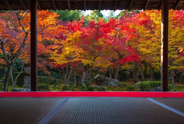 Explo_Kyoto2026's tweet photo. Enkō‑ji was founded by Tokugawa Ieyasu in 1601. Many books were published here, and the wooden movable type. 
#Kyoto  #AutumnLeaves #KyotoTravel【PR】For your stay in Kyoto, MACHIZUKI-TEI.a whole house for up to four guests.  https://t.co/pXyi83ZPsf https://t.co/8Ag1yYkTWw