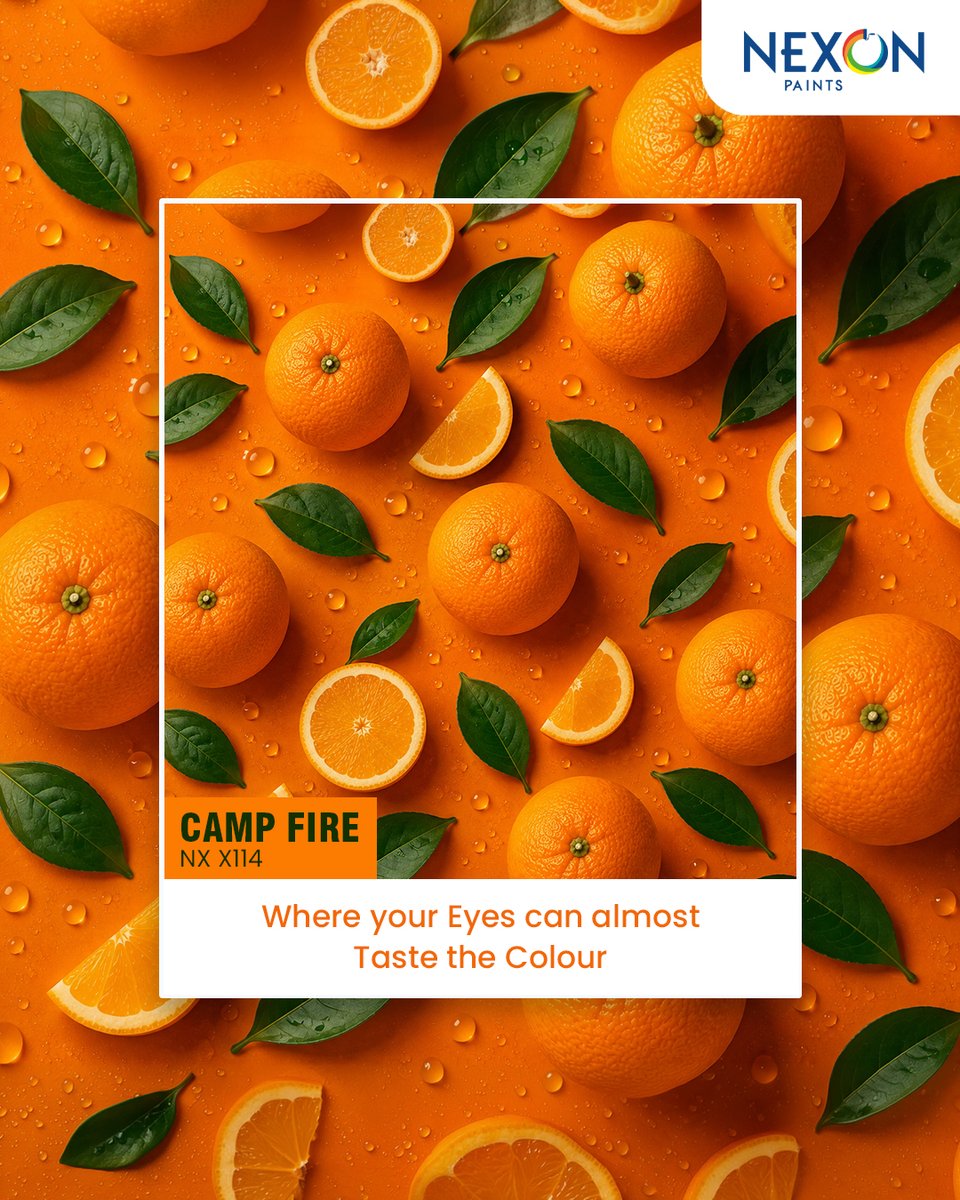 NexonPaints's tweet photo. If colours had a flavour, this one would be a zesty burst of orange! 

Give your spaces a refreshing makeover with shades that bring energy, warmth, and personality to every corner.

#NexonPaints #ColourfulLiving #BrightAndBold #HomeMakeover #ColourInspiration #InteriorWallColour https://t.co/4JvLnq1BXz