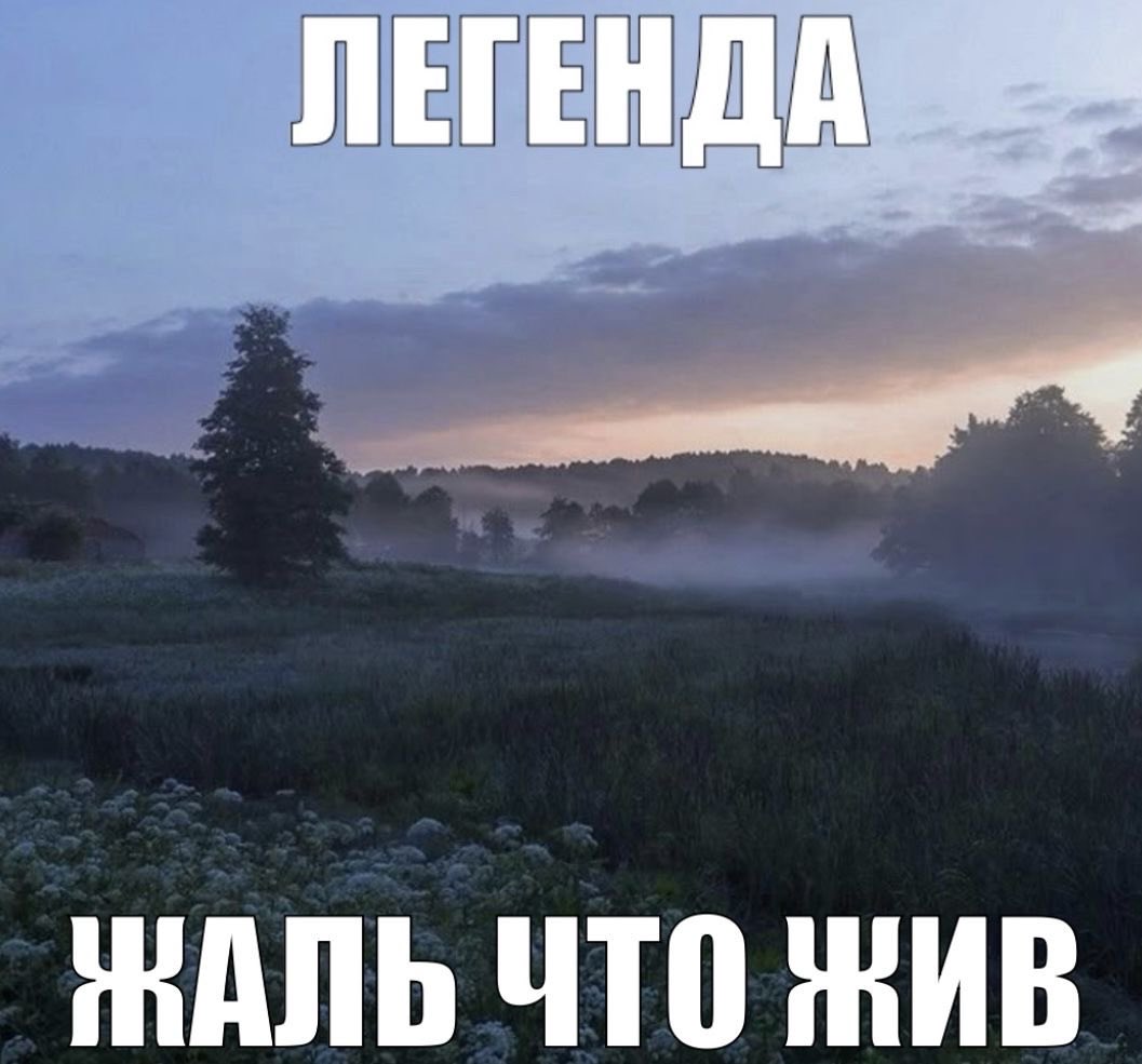 n3idisch's tweet photo. я выпросила повербанк и уебываю после 3 пары https://t.co/LK5WVCHqVI
