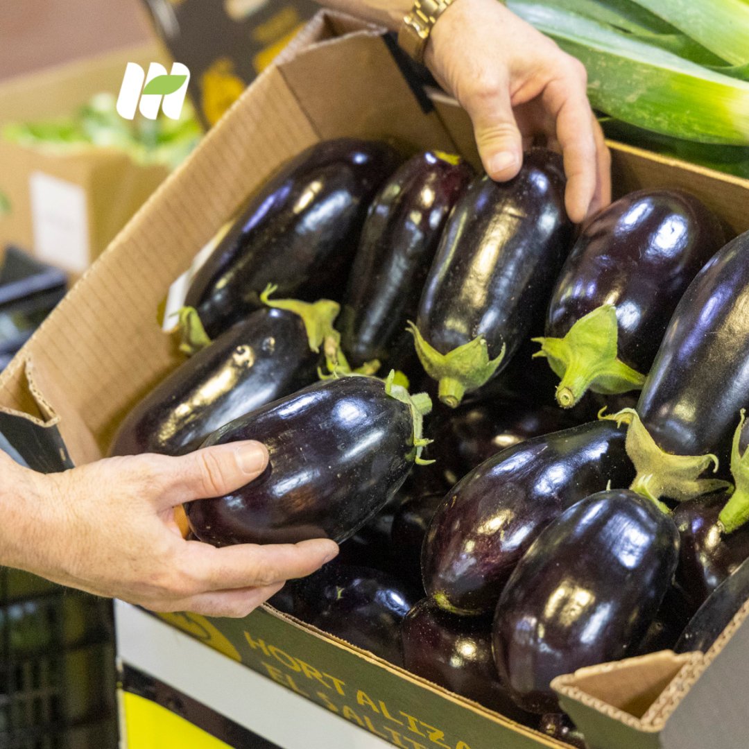 mercatenerife's tweet photo. Comprar productos agroalimentarios de km 0 es apostar por lo nuestro.🌱
Más apoyo a nuestros productores y productos de temporada que llegan a nuestra mesa recorriendo menos kilómetros.
#MercaTenerife #Productolocal #ProductosAgroalimentarios https://t.co/UM05JdxkjB