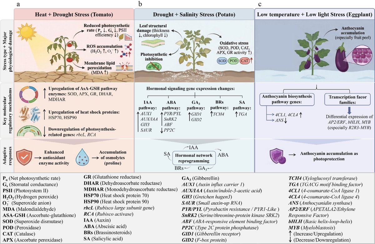 MaximumAcademic's tweet photo. #VegetableRes
Review: how combined heat-drought, salinity, and low-light stresses challenge vegetable crops, from physiology to mitigation.
@HortiPlant #AbioticStress #ClimateChange #Review
Details: https://t.co/lBNYlm2YPs https://t.co/wZ6z3D5pLV