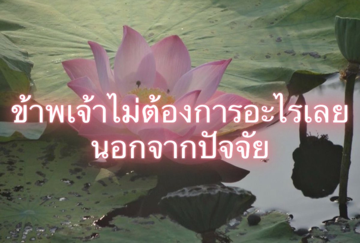Iaunza's tweet photo. ปัจจัยที่ใช้ดำรงค์ชีวิตต่อไปได้ https://t.co/qfxtFburNx