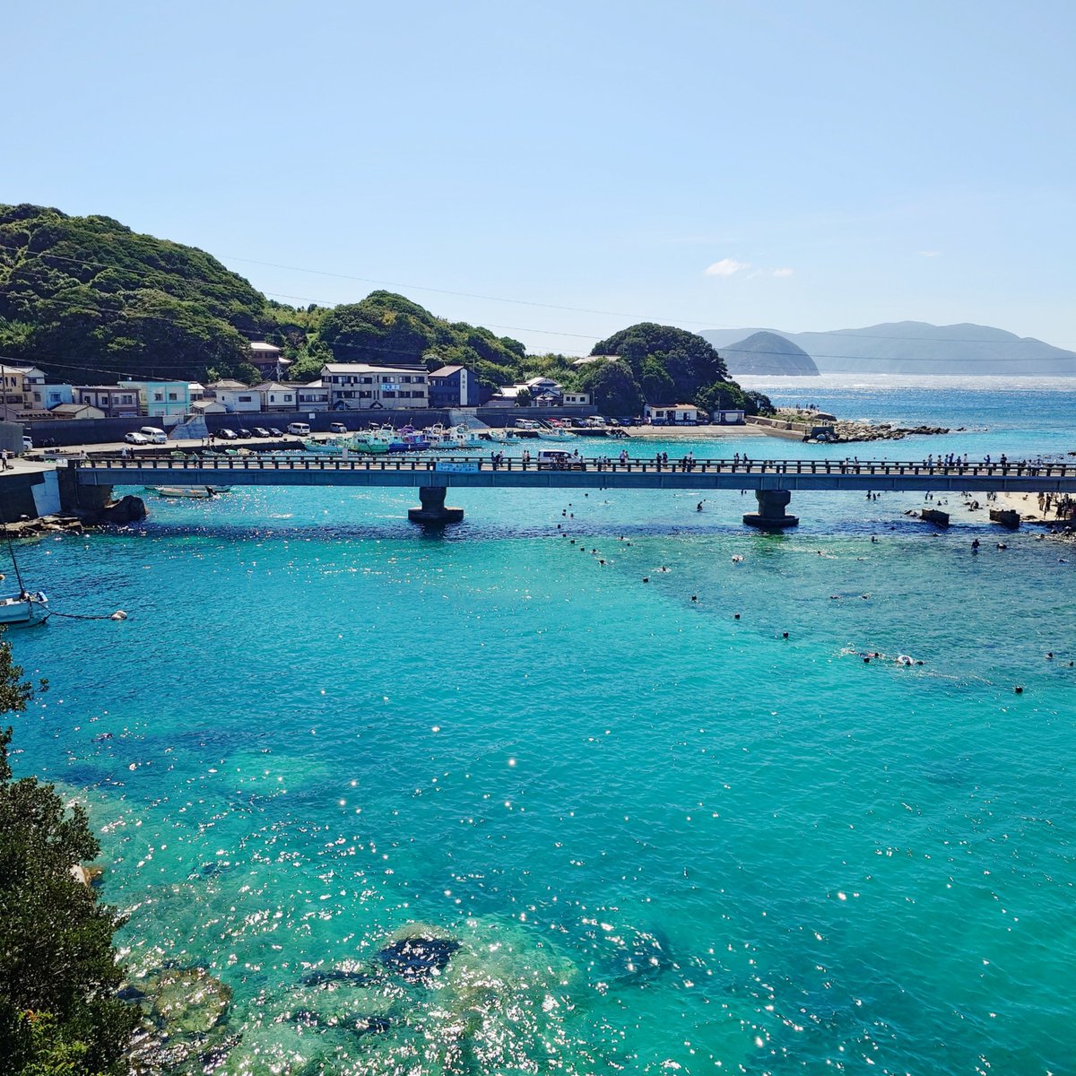 capi_okapi's tweet photo. 白柴キャンツー1355km⑦
〜柏島編〜

#柴犬 #柏島 #柏島ヴィレッジ #絶景展望所 #shibainu https://t.co/k0yWz4jm8u