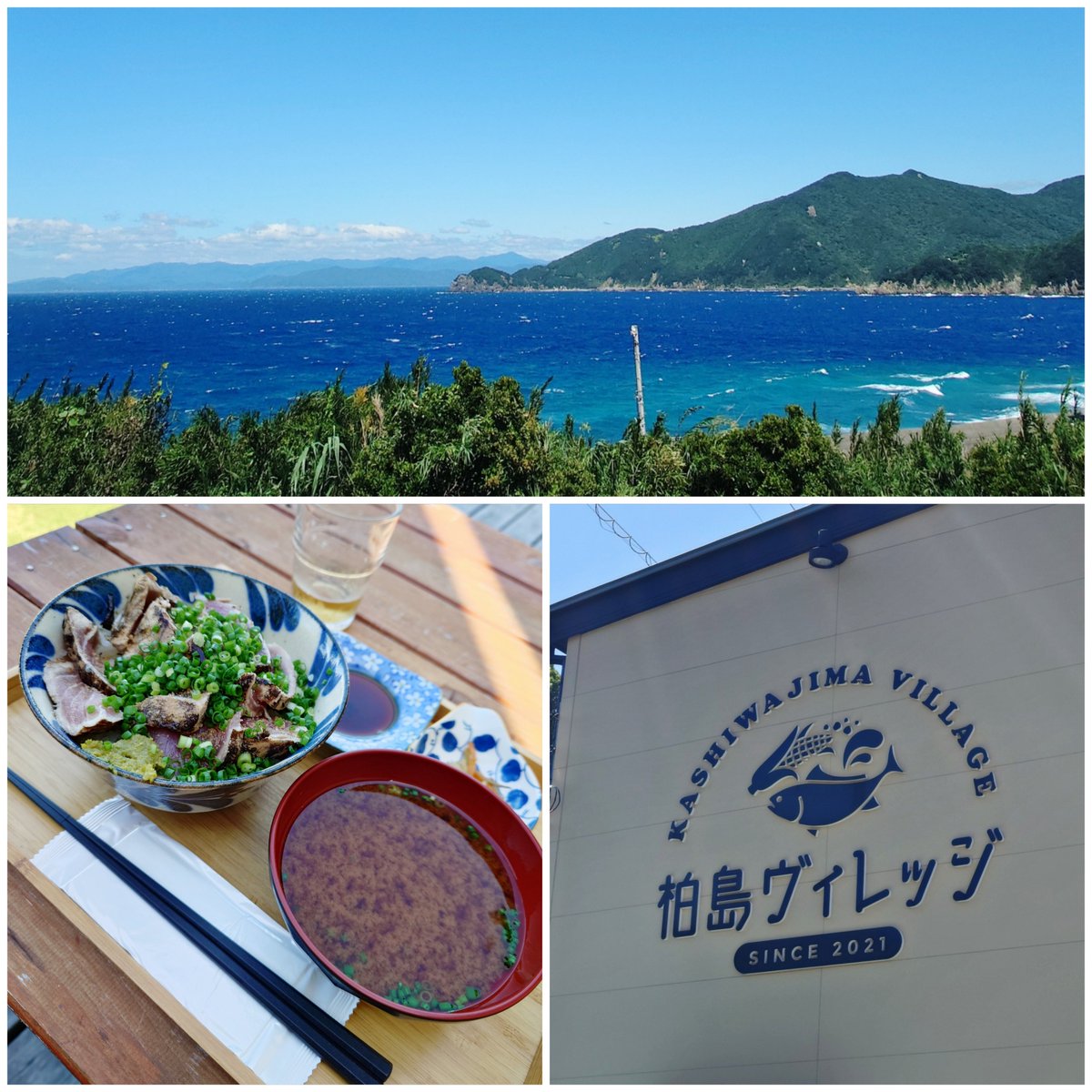 capi_okapi's tweet photo. 白柴キャンツー1355km⑦
〜柏島編〜

#柴犬 #柏島 #柏島ヴィレッジ #絶景展望所 #shibainu https://t.co/k0yWz4jm8u