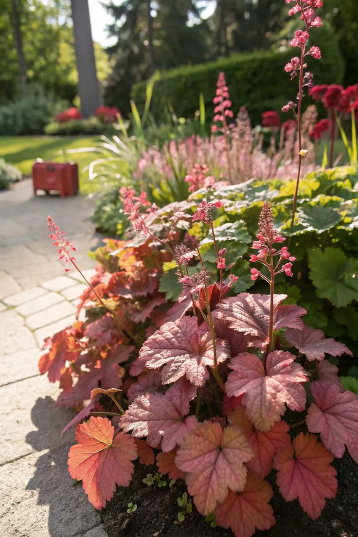 TheBiotaDiary's tweet photo. The ultimate landscaping plant

#coralbells #plant #diary https://t.co/MUJ3K4V5p4