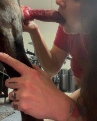 Cupcake2aoz's tweet photo. Enter my private world and discover what you’ve been missing. 🔥 DM for more details 🔞🍑🍆👇🏼
https://t.co/kTOawD2haR

#zoophillia #zoosarevalid #beastiality #dogknot #zoophile
#antizoo #antizoophileantizoo #k9girl #zooprid https://t.co/2N8Im59qb7