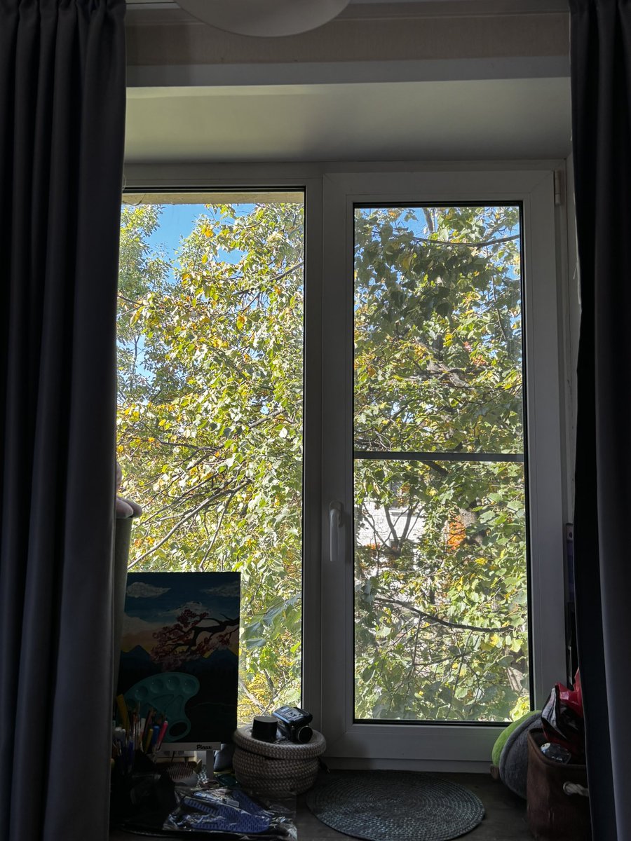 ohhmoonn's tweet photo. Good morning! ☀️
There's something amazing outside the window today! I drink coffee, in the shower and online! 
Have a nice day😘😘 https://t.co/27Ngjy6FVG