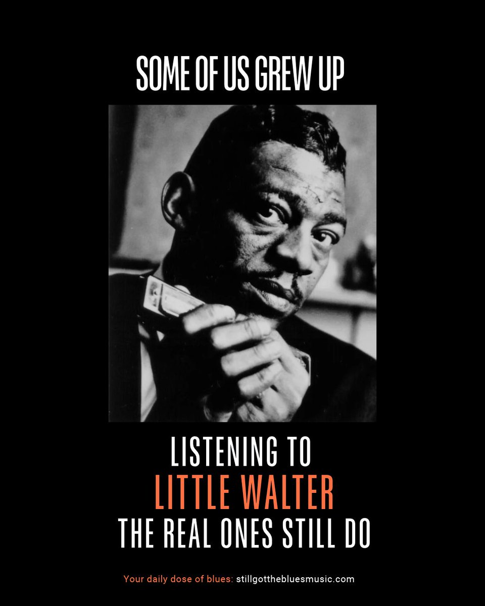 GotBluesMusic's tweet photo. Little Walter helped establish the amplified harmonica in Chicago blues. His recordings remain essential listening for fans of classic electric blues. https://t.co/YSD6wpnbQv