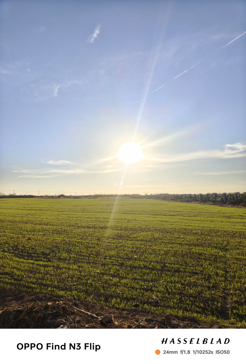 natdsilvaa's tweet photo. [Beneath the bamboo tip’s gap, I gently till the soil—small, warm joys in simple farming days.]， https://t.co/A7xdsKlAVU