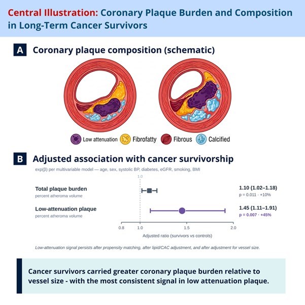 ESC_Journals's tweet photo. New in #EHJCardioOncology 
Coronary plaque burden and plaque composition in long-term cancer survivors: a comparative CCTA study https://t.co/YLzzqETwUv

@tom_marwick 
@slumberbell @Massimi78530343 @LudovicaAmore https://t.co/rbqHY5M2Sj