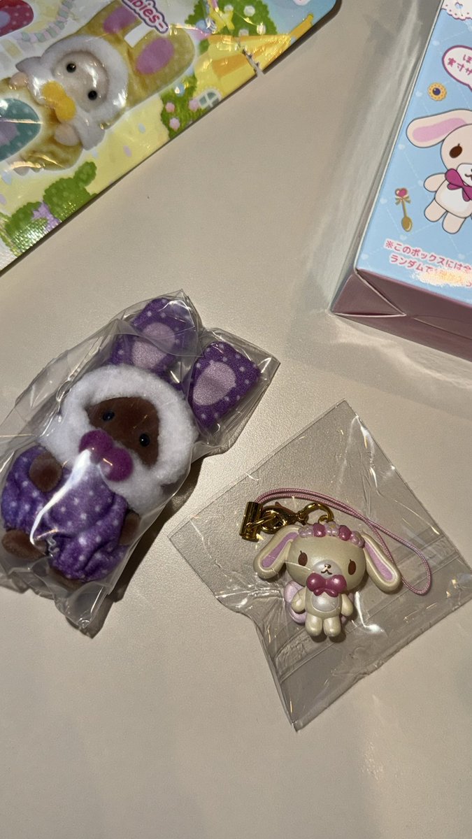 easyhadaa's tweet photo. 실바니안40주년 슈가바니즈깡 대성공 야호 ♡♡

#실바니안 #슈가바니즈 https://t.co/UzfPB5zWhU