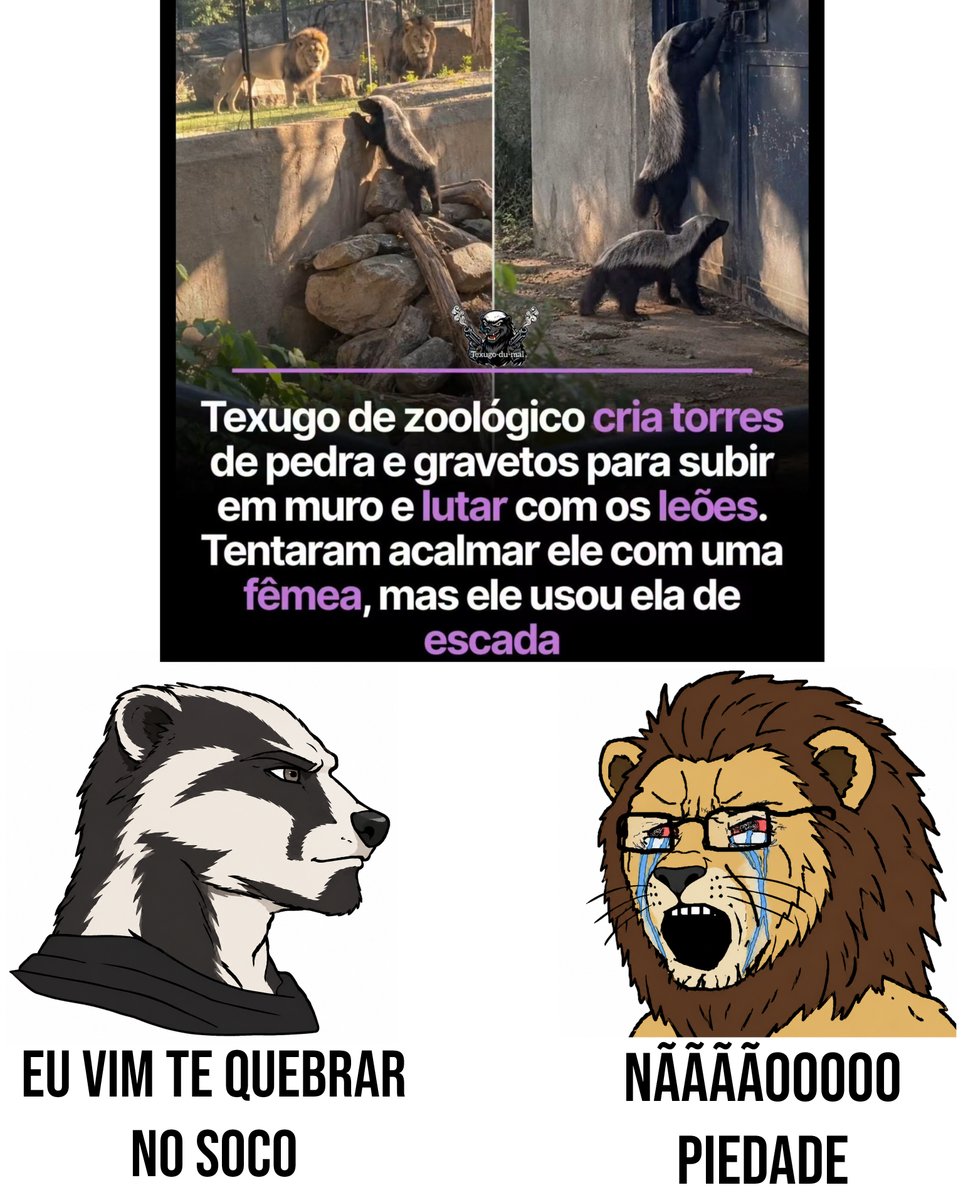 brainletbr's tweet photo. O nanico é brabo https://t.co/xrZMrxohLD