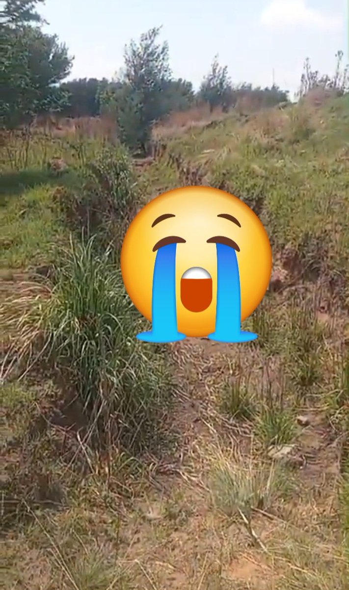 MariaMotlalile's tweet photo. ⚠️The mystery in eMalahleni (Witbank) is getting deeply unsettling. 🤯 The bodies of 4 men who went missing last week were just found dumped on a gravel road in Ferrobank. 💀 

Vosman SAPS is working around the clock to piece together what happened, but the community is already panicking. While the politicians are arguing on TV, the streets are dealing with pure lawlessness. What is really going on in Mpumalanga? 📉🇿🇦 #eMalahleni #Witbank #SAPS #SouthAfrica