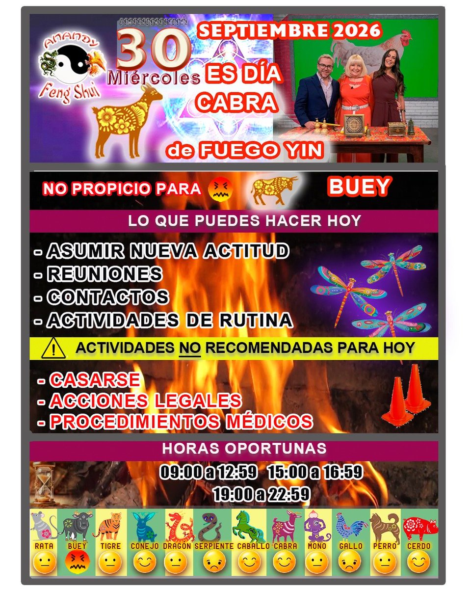 AnandyFeng's tweet photo. Miércoles 30,  muy bueno para asumir una nueva actitud, buenas reuniones, actividades de rutina no es positivo para casarse, ni realizarse procedimientos médicos.
Con amor Anandy🙏✨💖 https://t.co/Oq1DU0nF7x